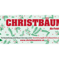 Christbaum Lois | Banner | Entwurf und Gestaltung | 2022